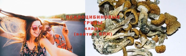 прущий лед Алексеевка