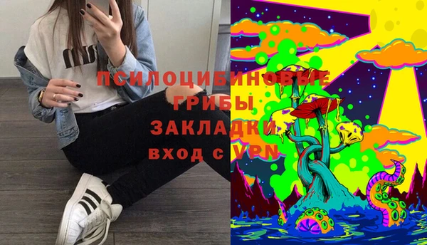 прущий лед Алексеевка