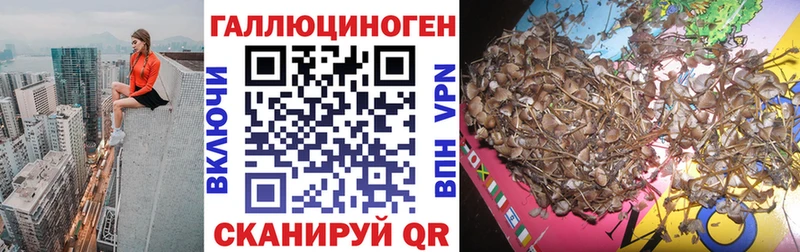 Псилоцибиновые грибы Psilocybe Мензелинск