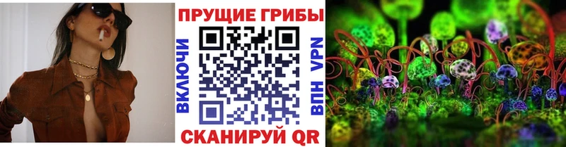 наркошоп  Мензелинск  Псилоцибиновые грибы Psilocybe 